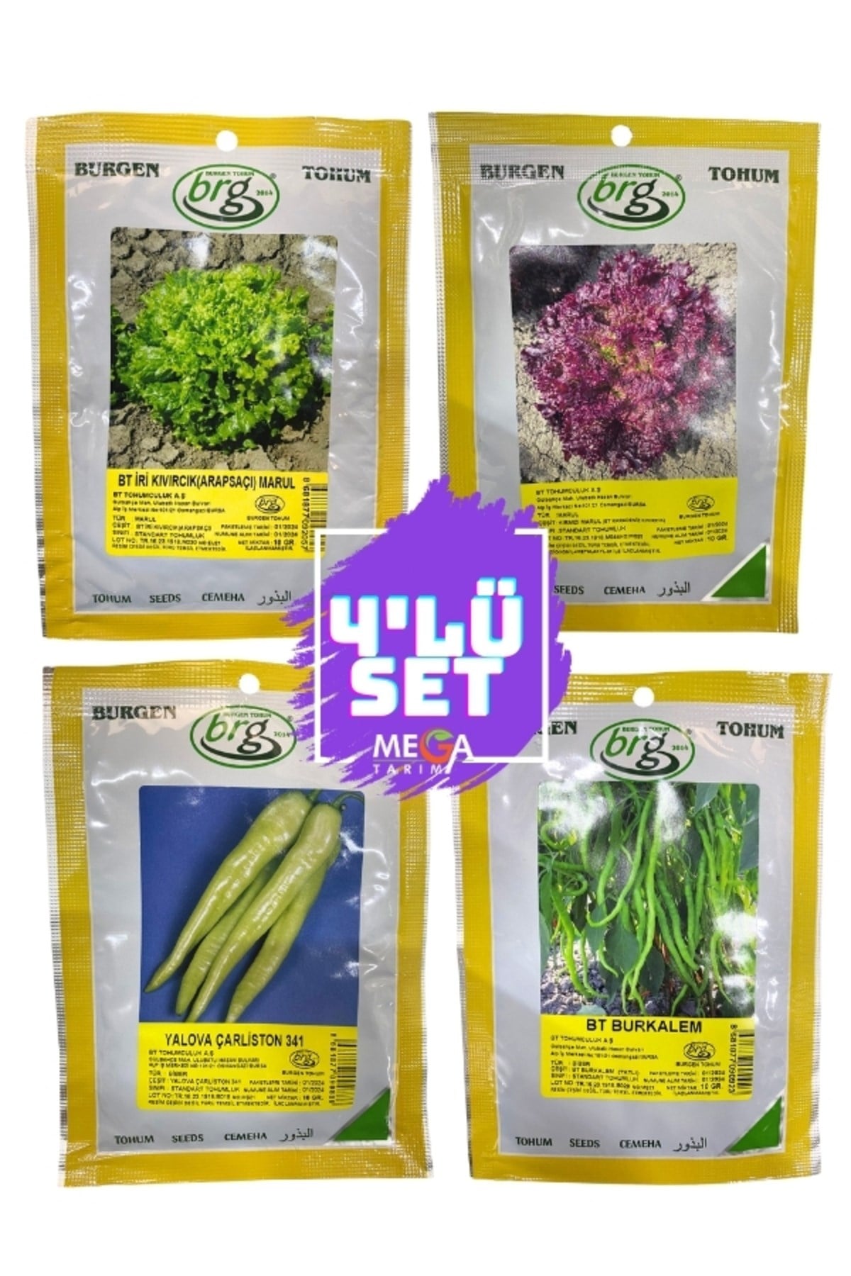 4'LÜ TOHUM SETİ ( ARAP SAÇI MARUL-KIRMIZI MARUL-YALOVA ÇARLİSTON BİBER -TATLI KIL BİBER ) 10 GR