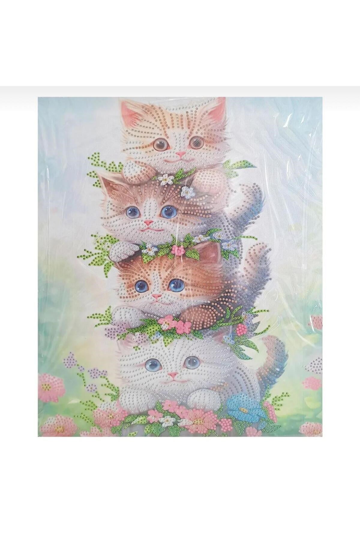 5D Elmas Taş İşleme Kiti 27x33 cm Kediler Desen