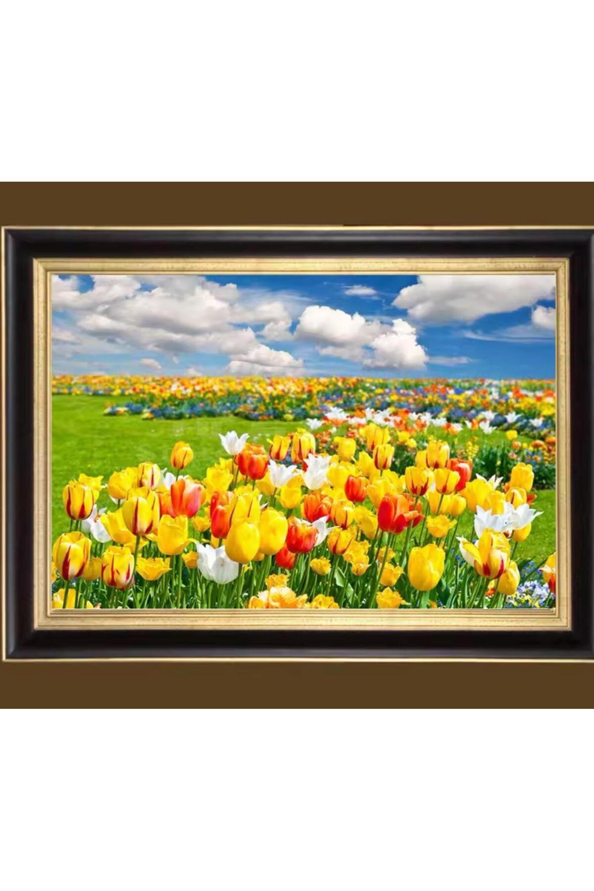 5D Elmas Taş İşleme Kiti Tablo 21x25 cm Laleler Desen