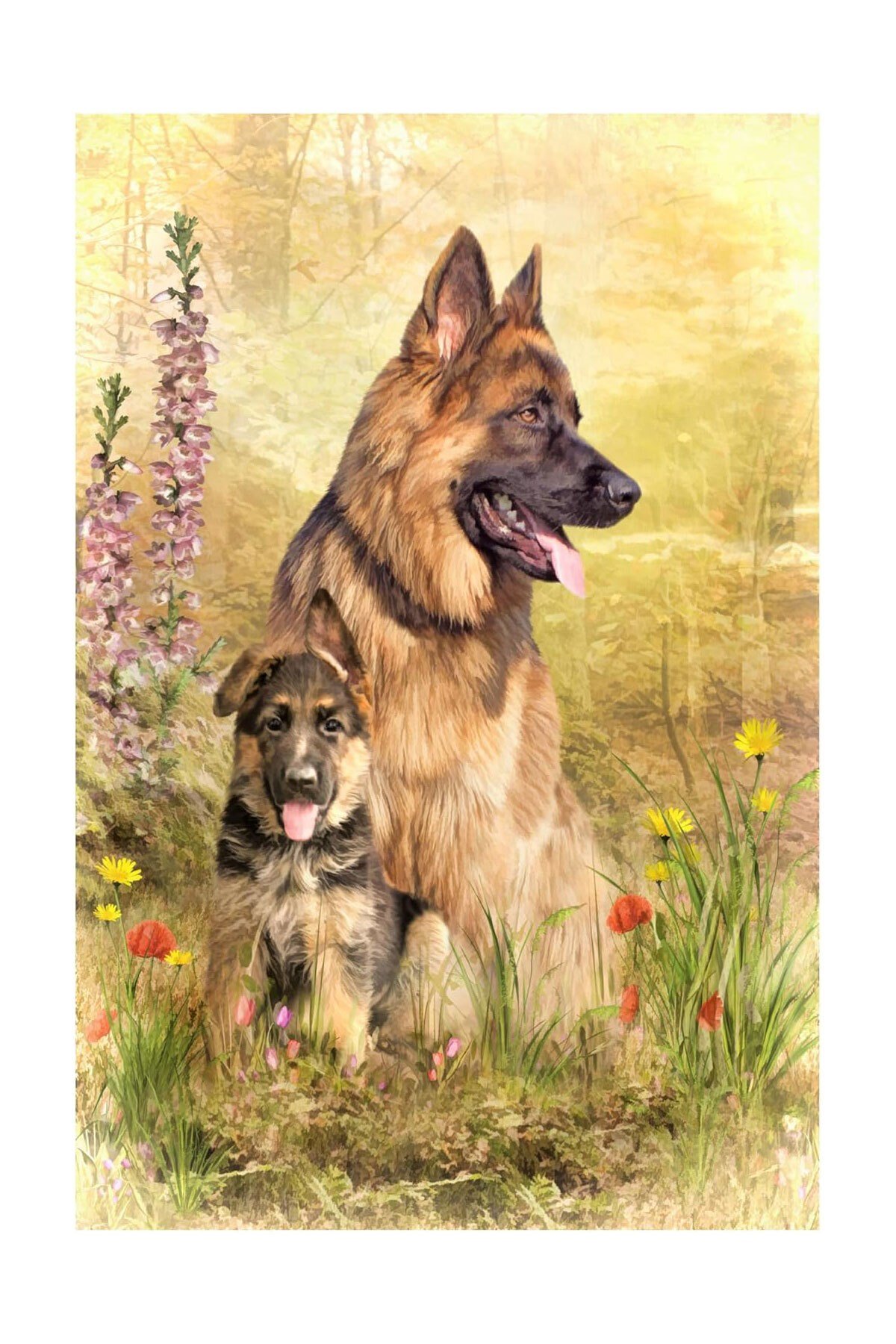 5D Elmas Taş İşleme Kiti Tablo 21x25 cm Köpekler Desen