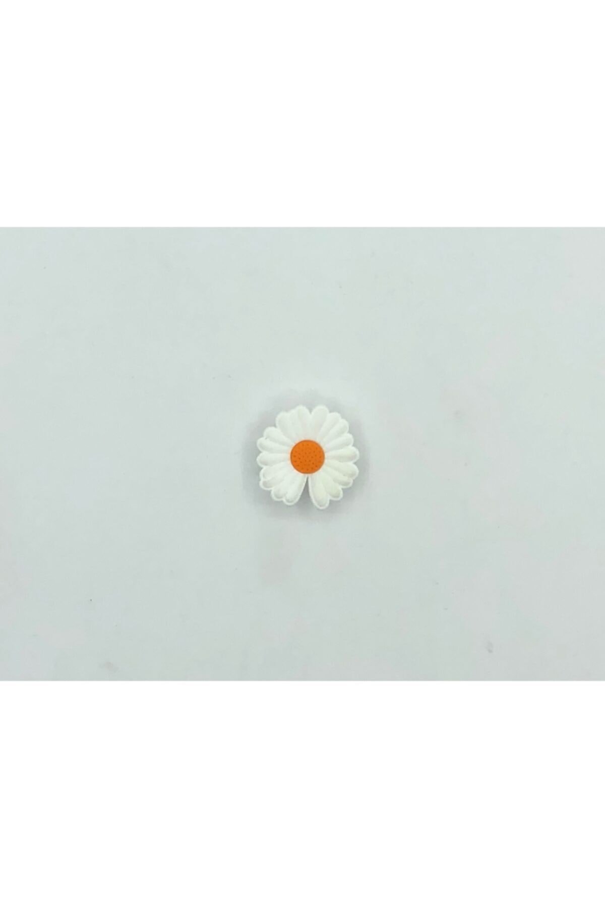 Crocs Jibbitz Terlik Süsü Jbb0250