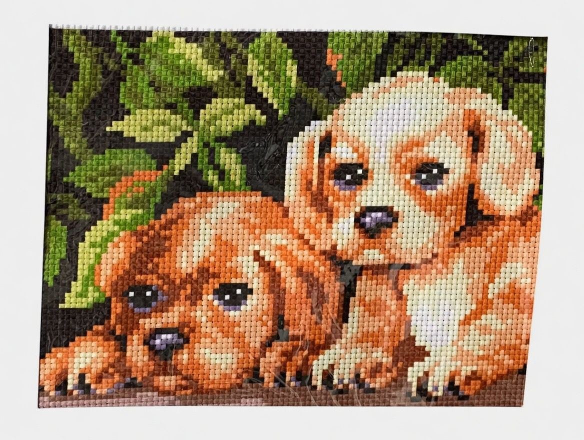 Desenli Kanaviçe Seti – El İşi Nakış Kiti, Renkli İpliklerle Tam Set 20x28