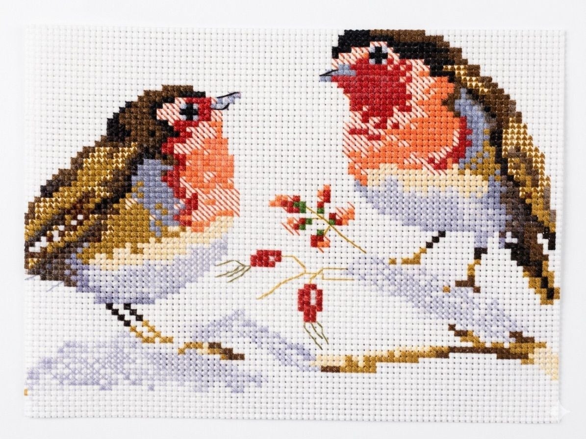 Desenli Kanaviçe Seti – El İşi Nakış Kiti, Renkli İpliklerle Tam Set 20x28
