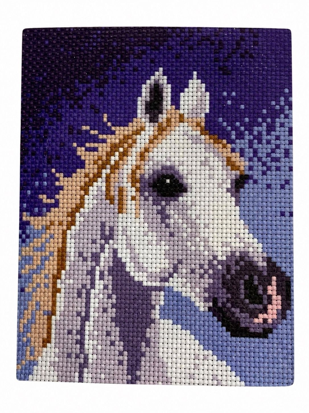Desenli Kanaviçe Seti – El İşi Nakış Kiti, Renkli İpliklerle Tam Set 20x28