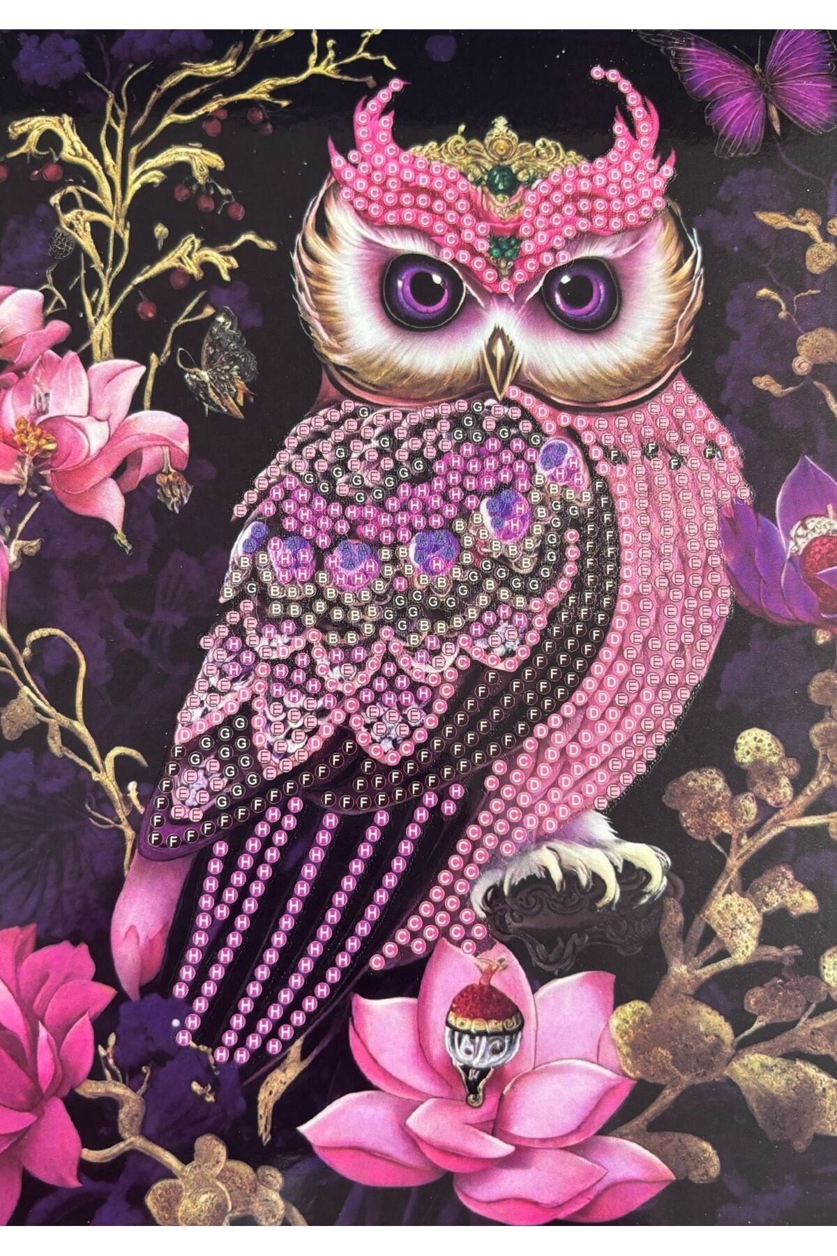 DIY 5D Elmas Taş İşleme Kiti Tablo 15X20 baykuş