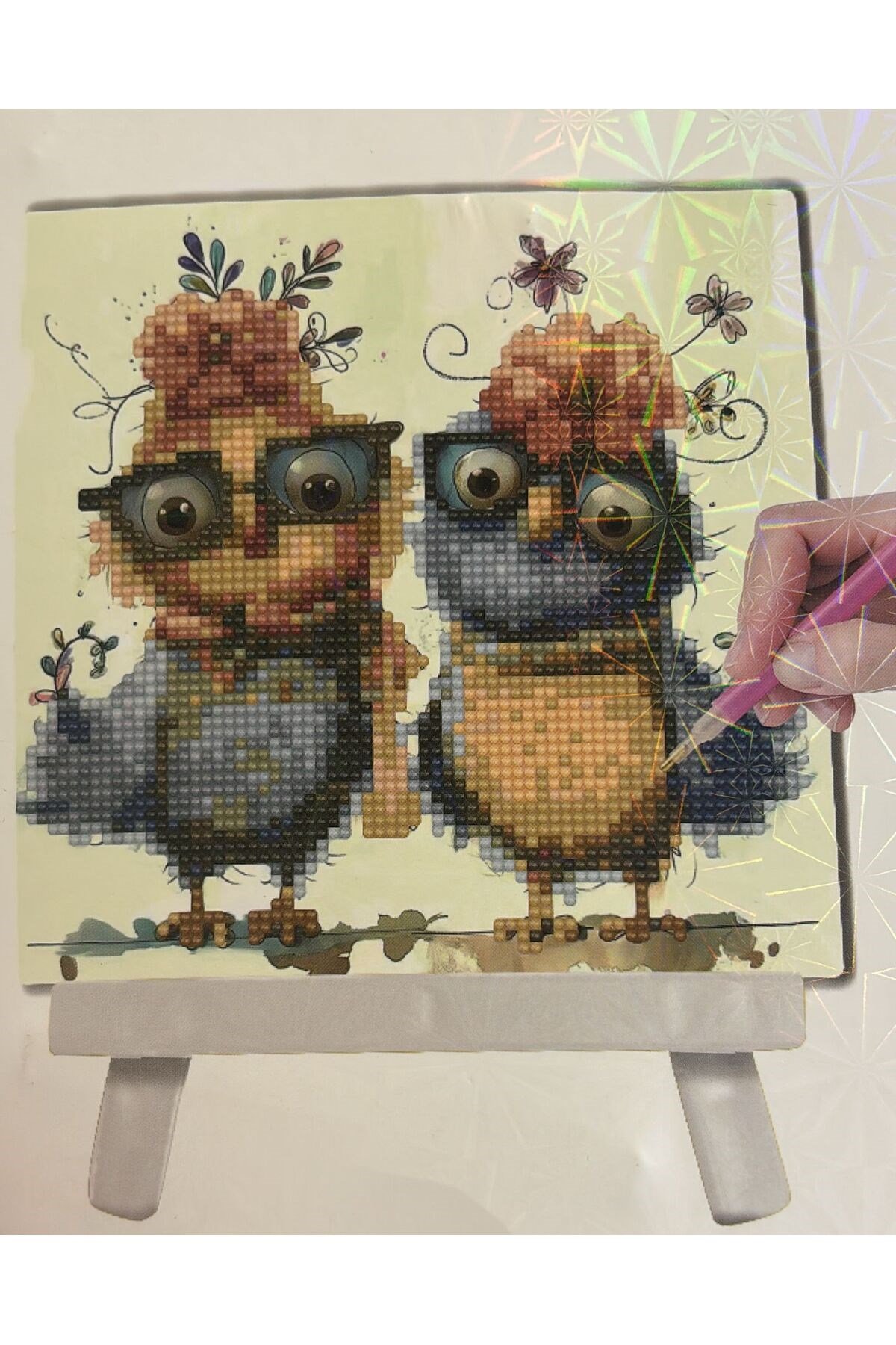 DIY 5d Elmas Taş Işleme Kiti Tablo 20x20 kuş