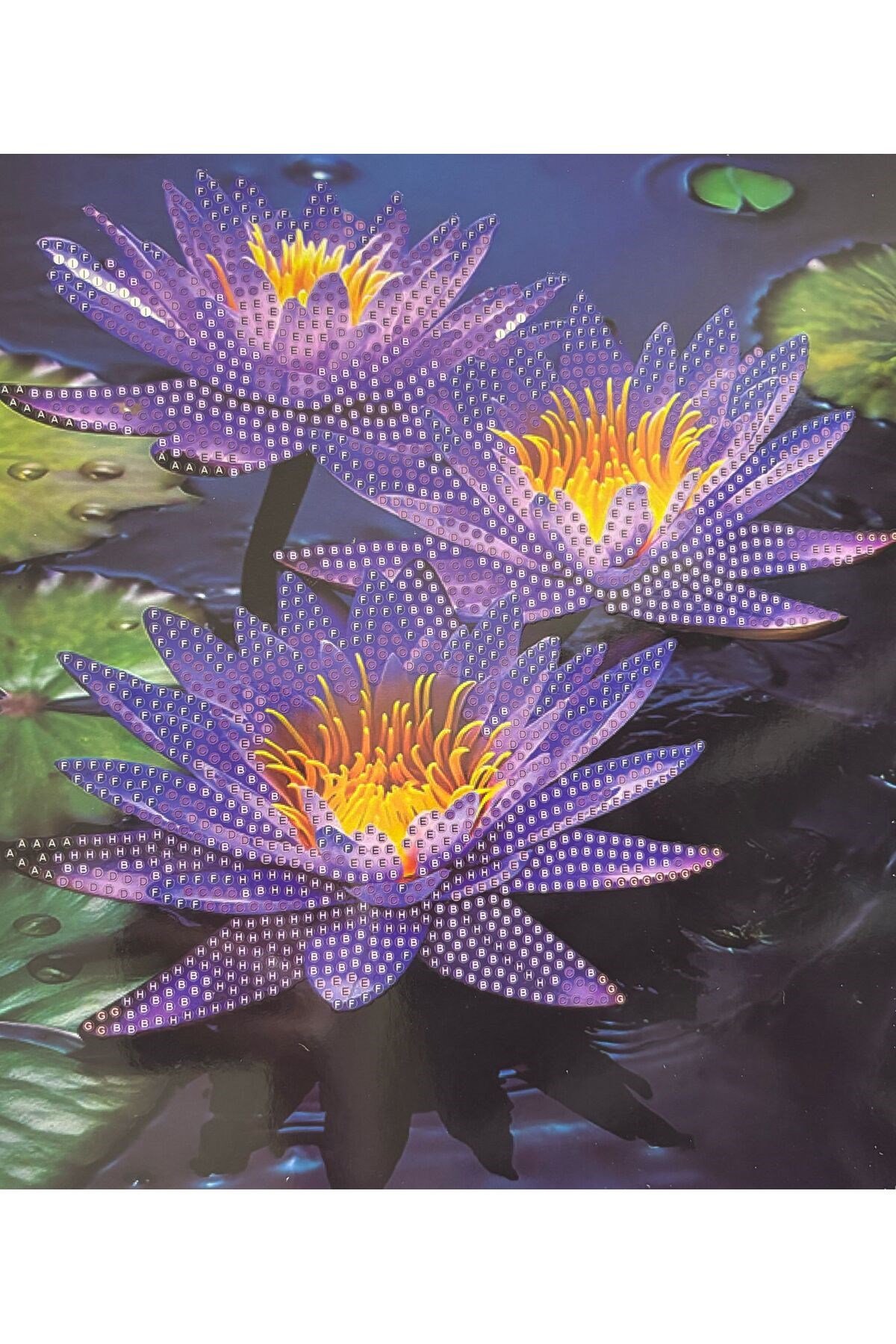 DIY 5d Elmas Taş Işleme Kiti Tablo 21X25 lotus çiceği