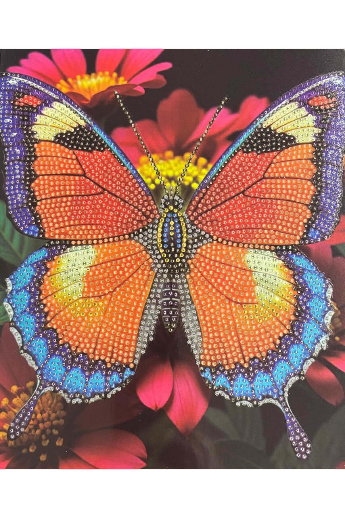 DIY 5d Elmas Taş Işleme Kiti Tablo 21X25 renkli kelebek