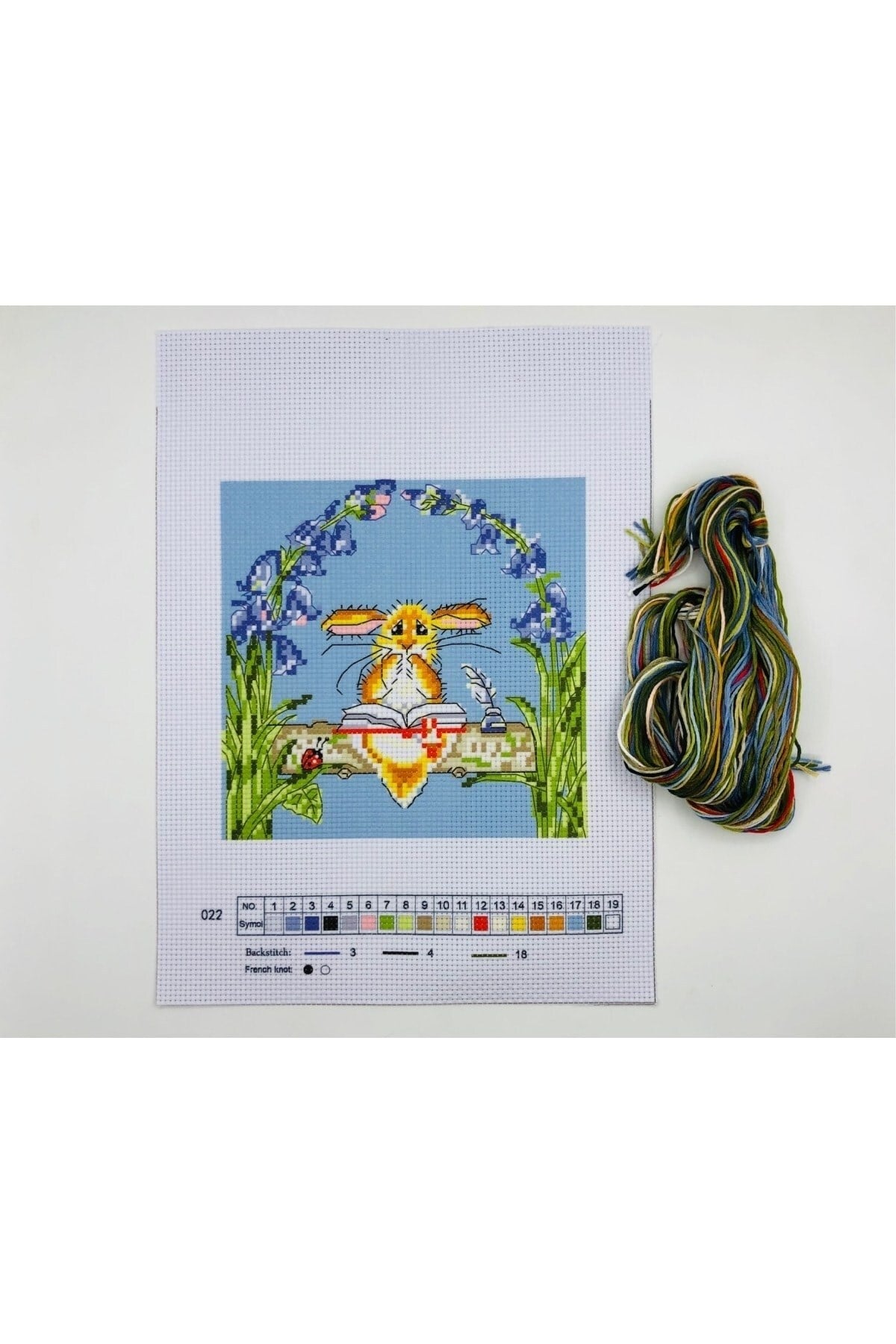 Goblen Etamin Işleme Seti 27x19 Cm 022