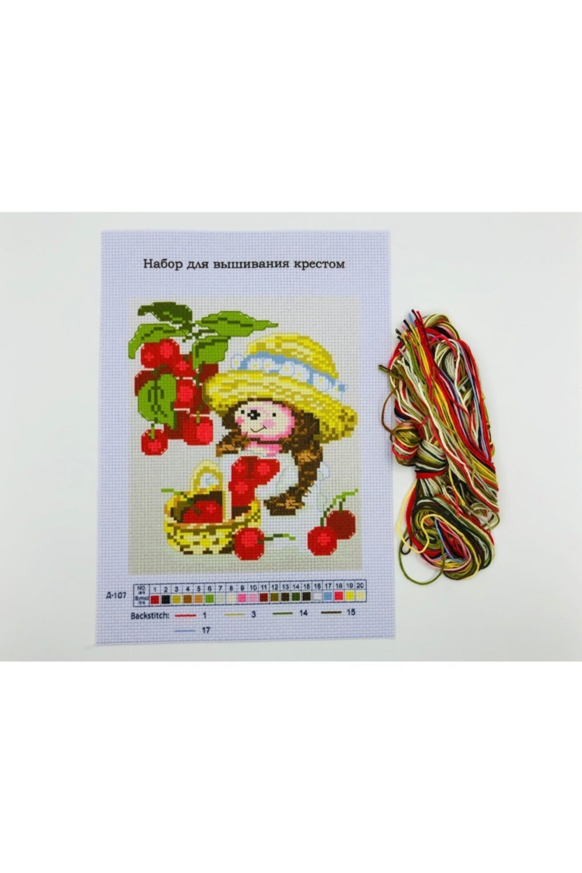 Goblen Etamin Işleme Seti 27x19 Cm 107