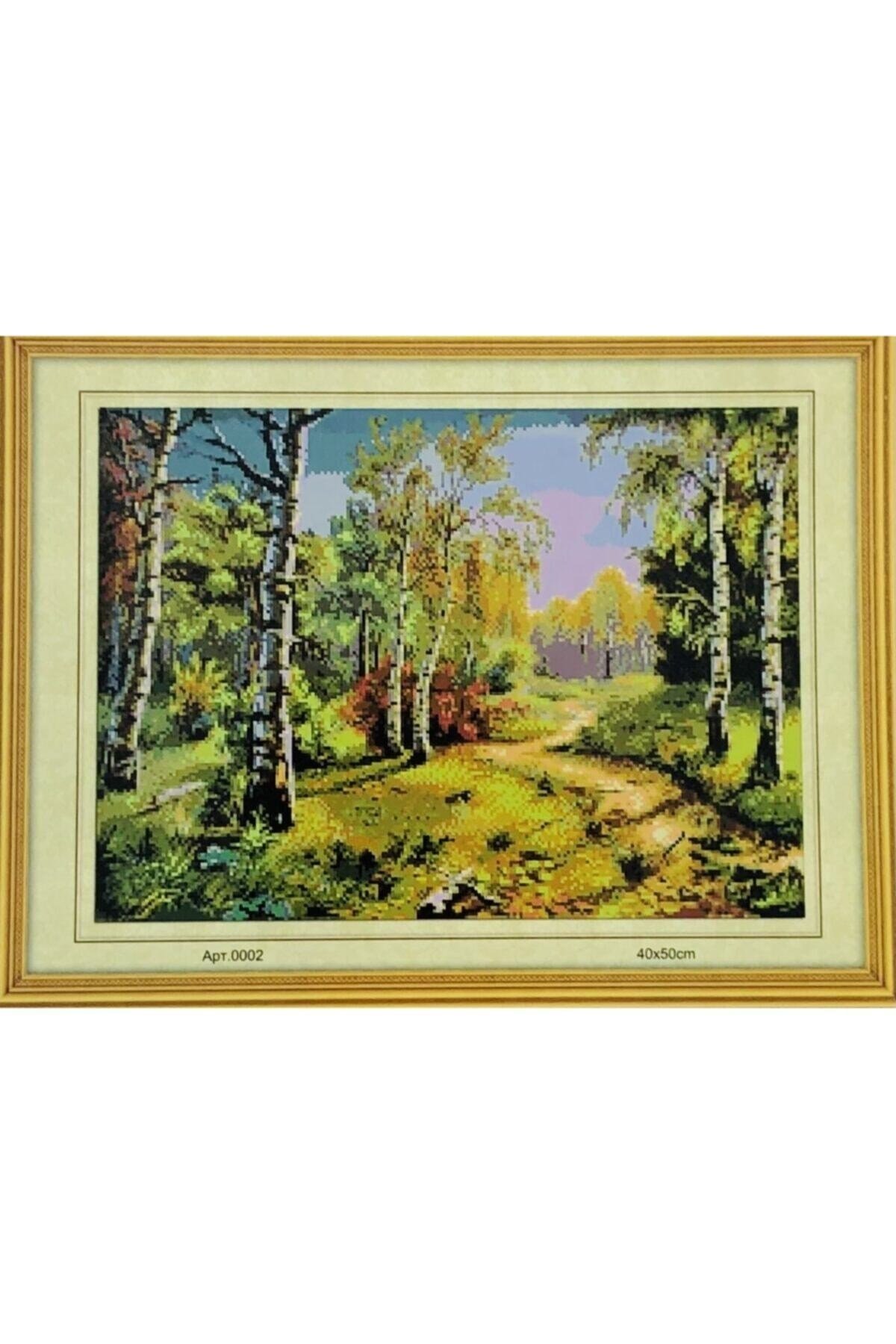 Goblen Etamin Işleme Seti 40x50 Cm 002