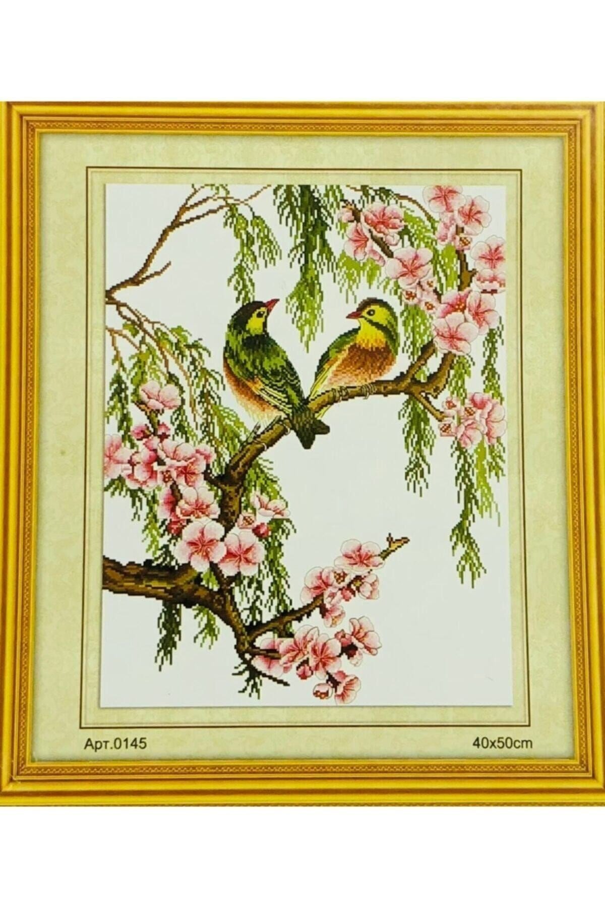 Goblen Etamin Işleme Seti 40x50 Cm 145