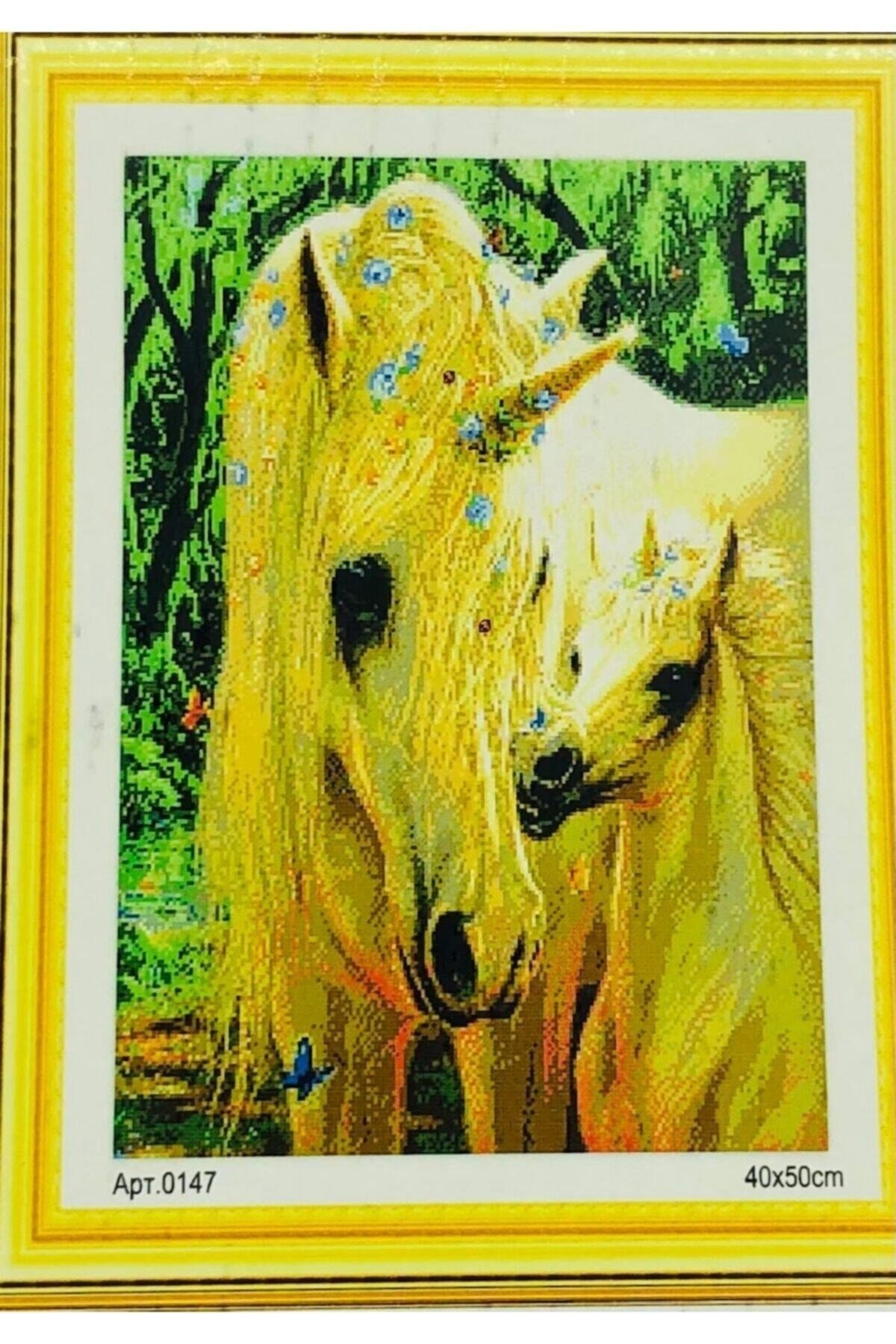 Goblen Etamin Işleme Seti 40x50 Cm 147