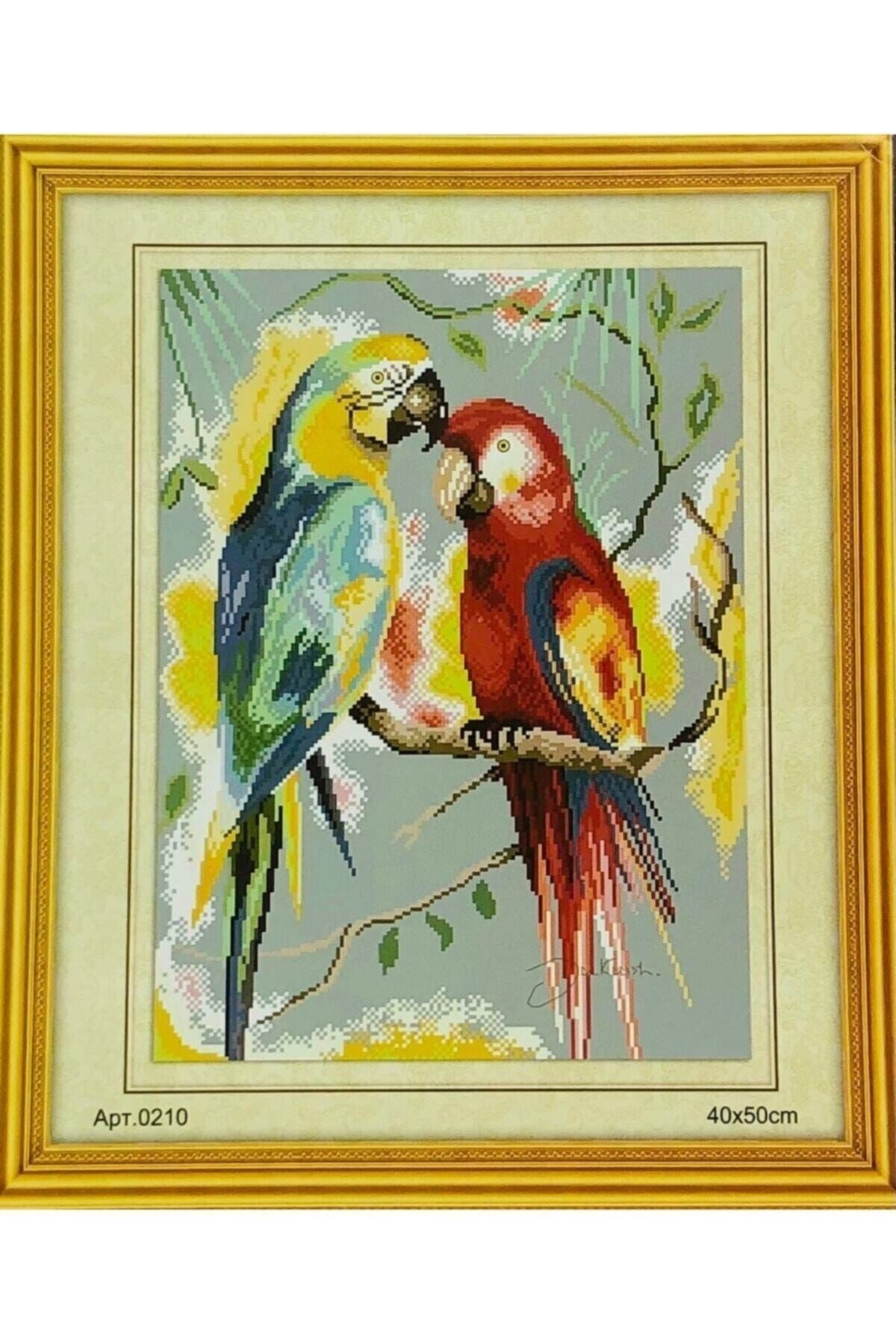Goblen Etamin Işleme Seti 40x50 Cm 210