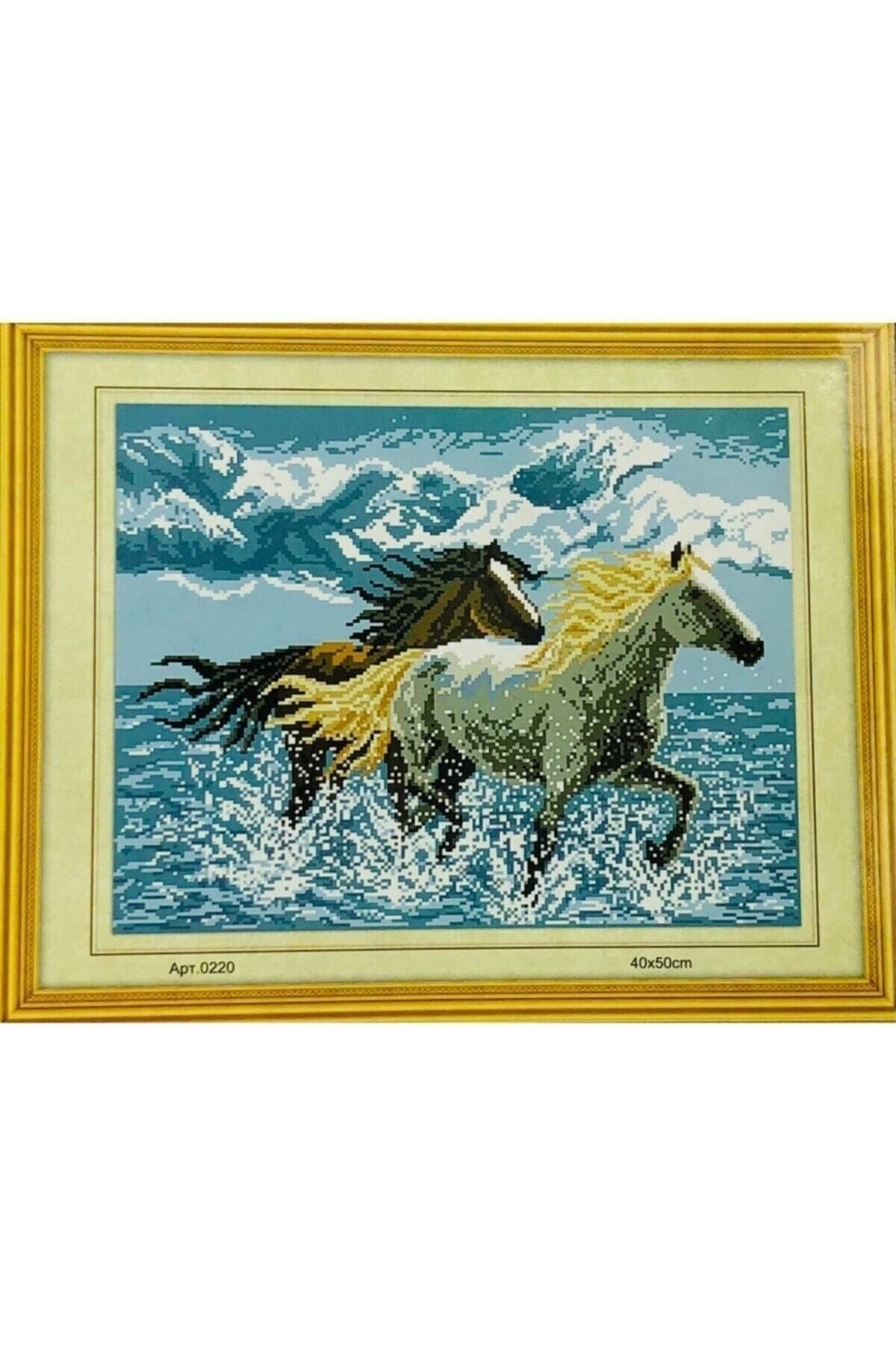 Goblen Etamin Işleme Seti 40x50 Cm 220