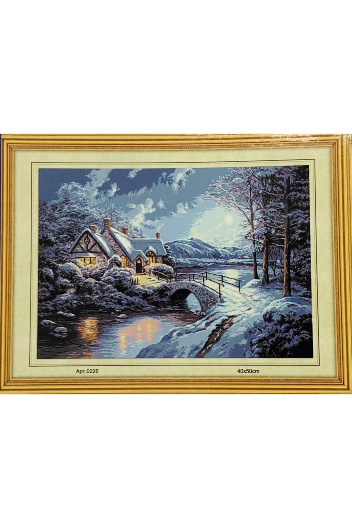 Goblen Etamin Işleme Seti 40x50 Cm 226