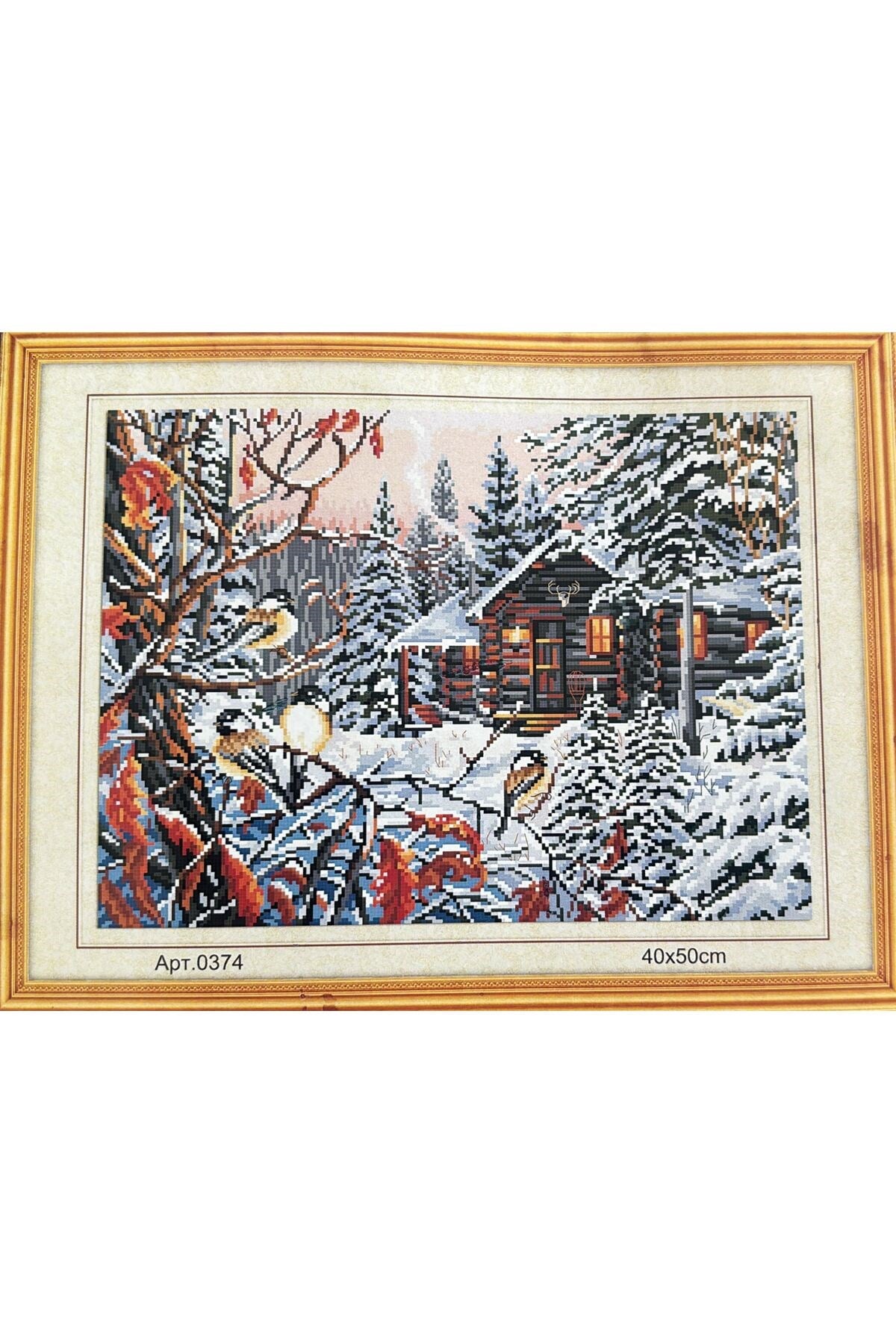 Goblen Etamin Işleme Seti 40x50 Cm 374