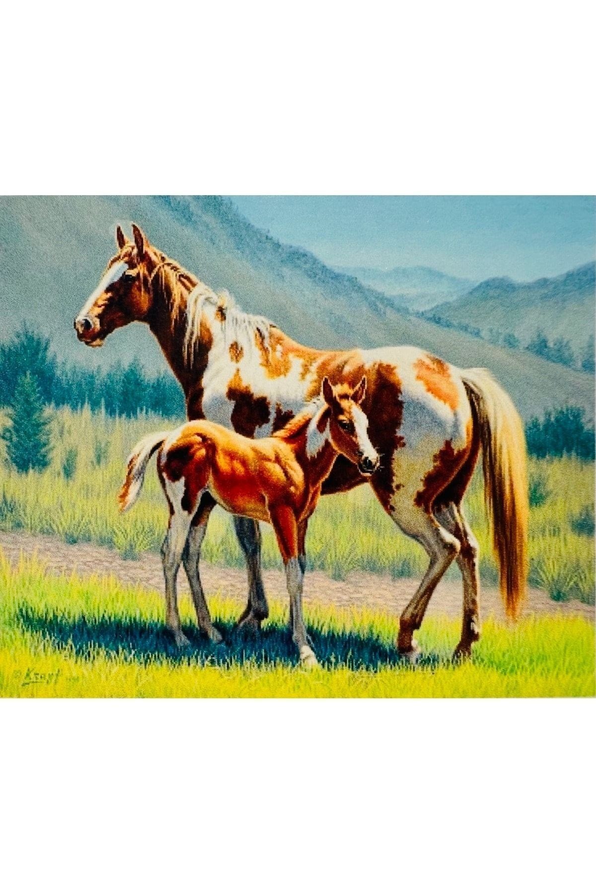 Hı Stone 5d Elmas Boncuk Taş Işleme Mozaik Goblen Kit 50x40cm Gc74393
