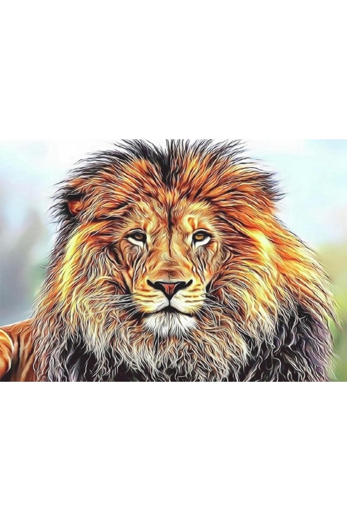 Hı Stone 5d Elmas Boncuk Taş Işleme Mozaik Goblen Kit 50x65 Cm Sgk77295