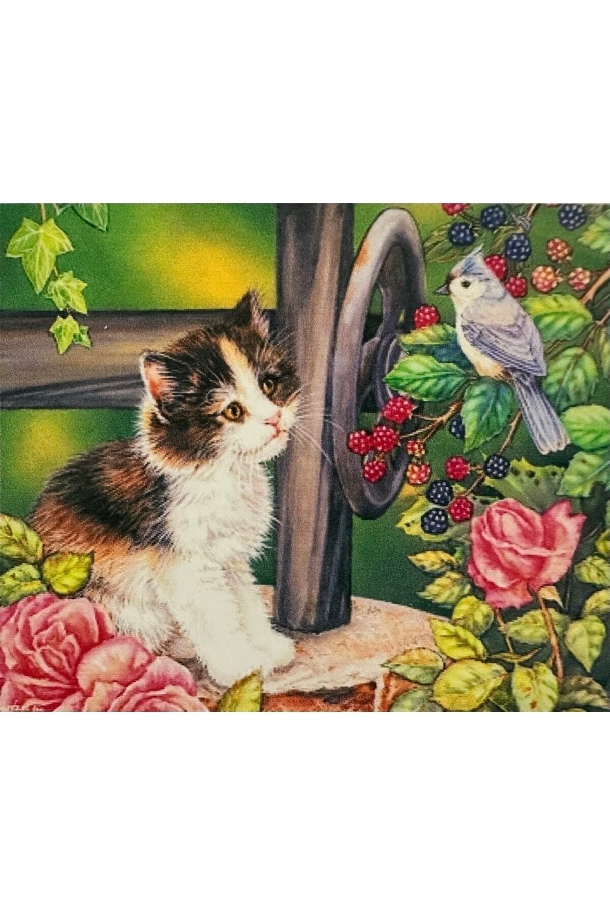 Hı Stone 5d Elmas Boncuk Taş Işleme Mozaik Goblen Kit 50x65 Cm Sgk72139