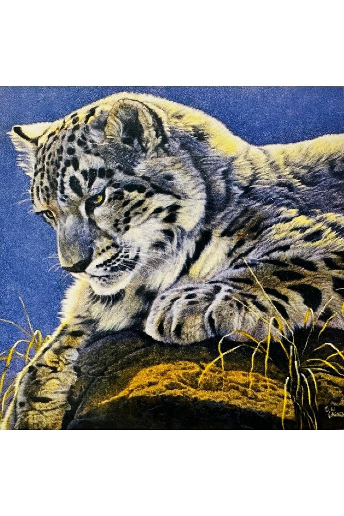 Hı Stone 5d Elmas Boncuk Taş Işleme Mozaik Goblen Kit 30x30cm Ms25889
