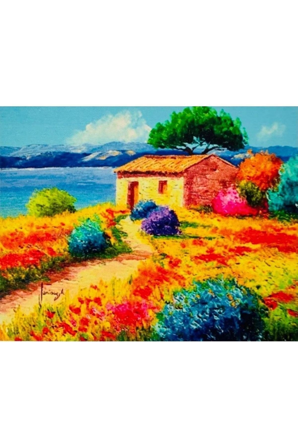 Hı Stone 5d Elmas Boncuk Taş Işleme Mozaik Goblen Kit 50x40cm