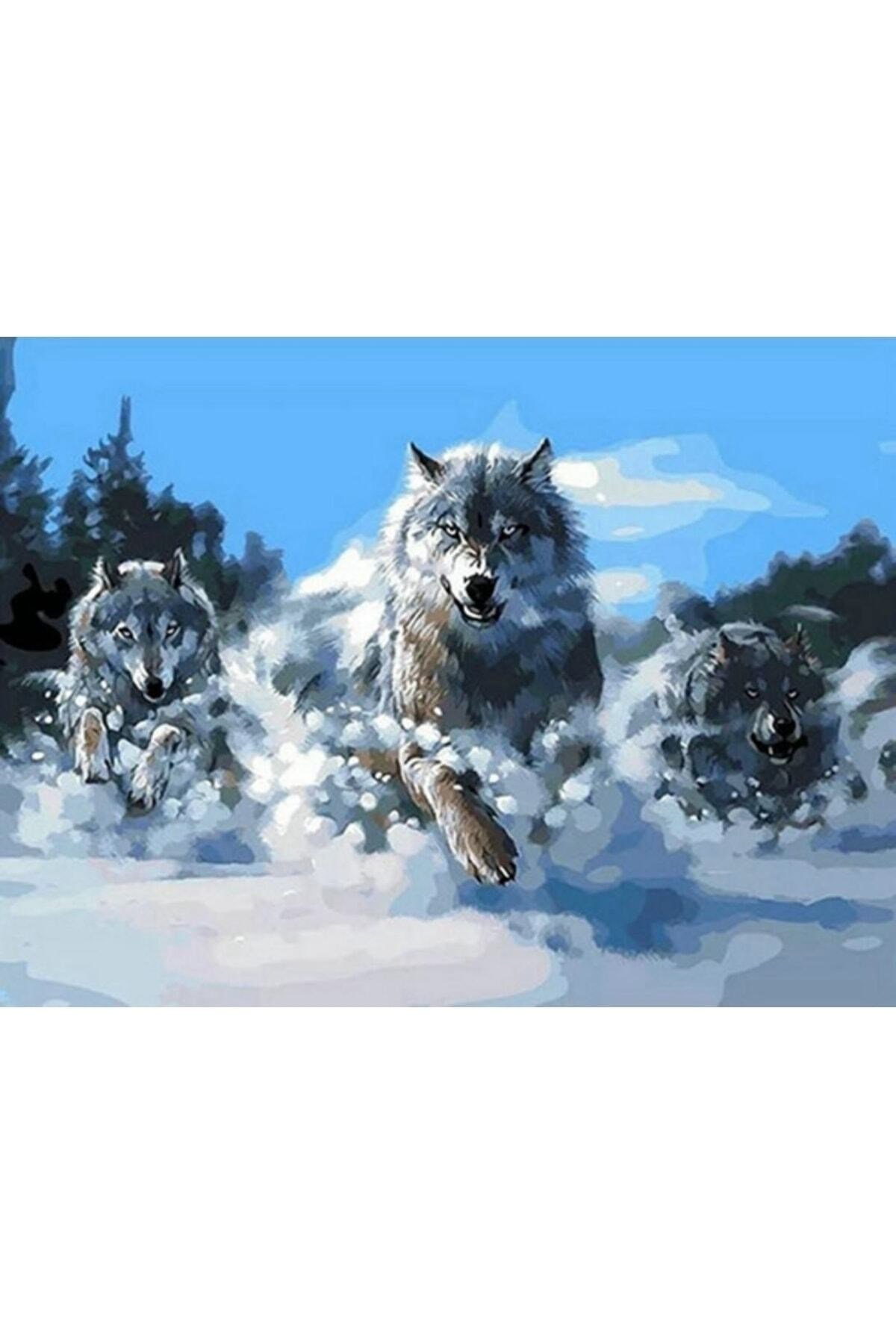 Hı Stone 5d Elmas Boncuk Taş Işleme Mozaik Goblen Kit 30x40cm Gd71366