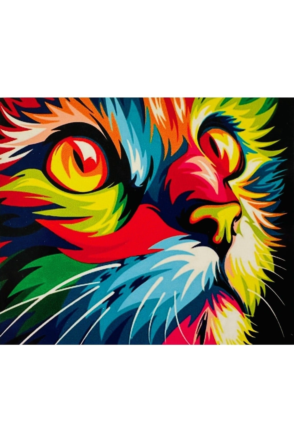 Hı Stone 5d Elmas Boncuk Taş Işleme Mozaik Goblen Kit 50x40cm Gc70619