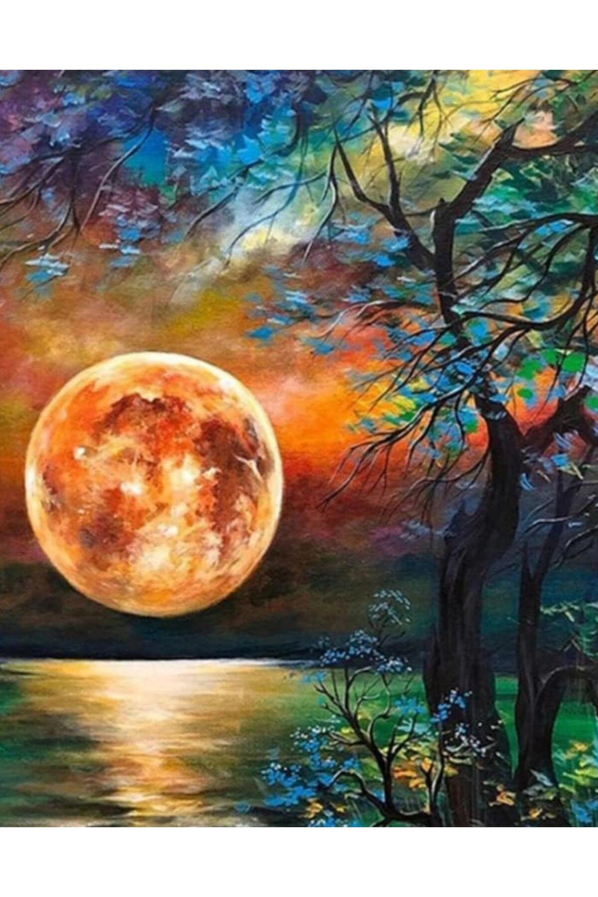 Sayılarla Boyama Tuval Seti Numaralı Boyalar Ve Fırçalar Tam Set 40X50 YCGJ37920