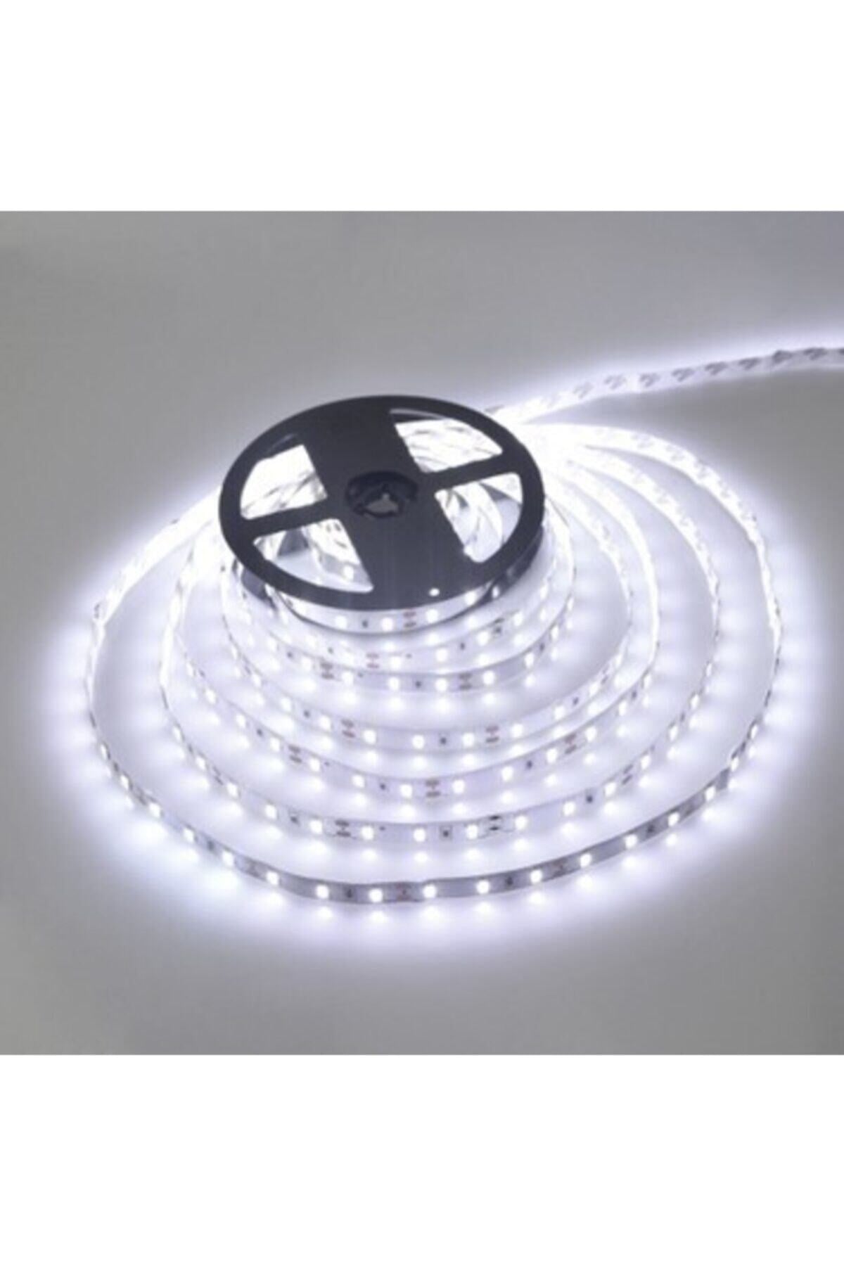 Beyaz Işık 5 Metre 12 Volt 10 Çipli Iç Mekan 40x40 Şerit Led