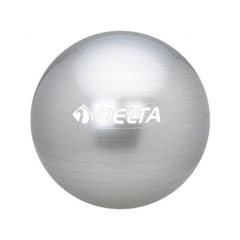 Delta Pilates Topu 55 Cm Gümüş - Gsi 628