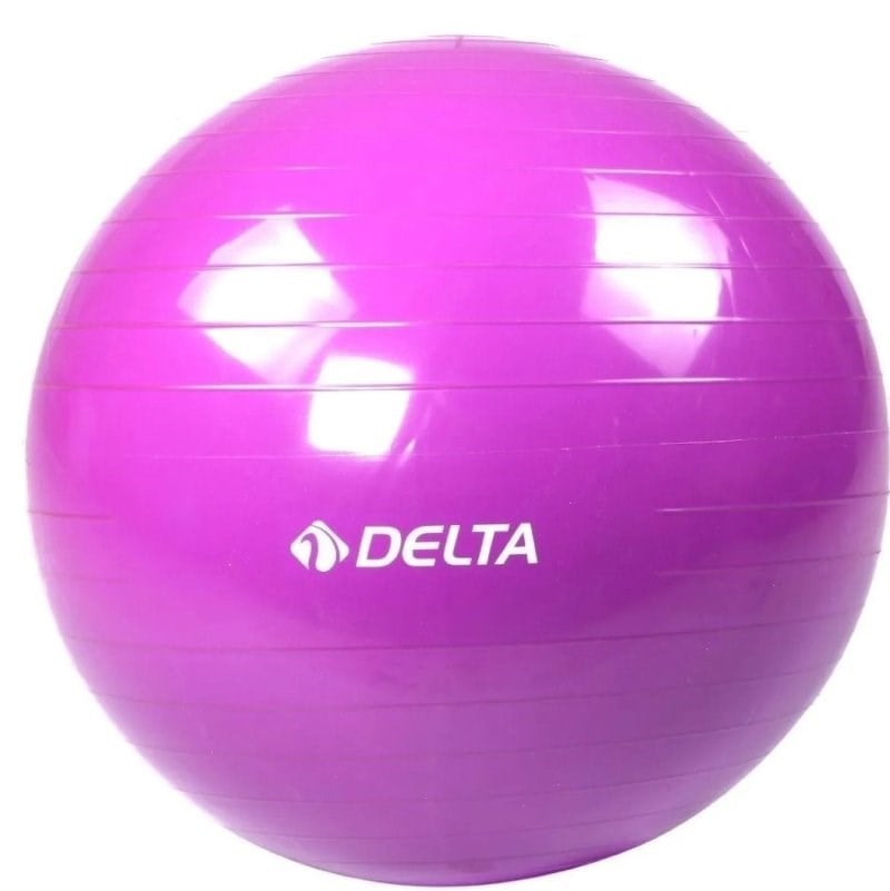 Delta Pilates Topu 65 Cm Mor - Pum 942