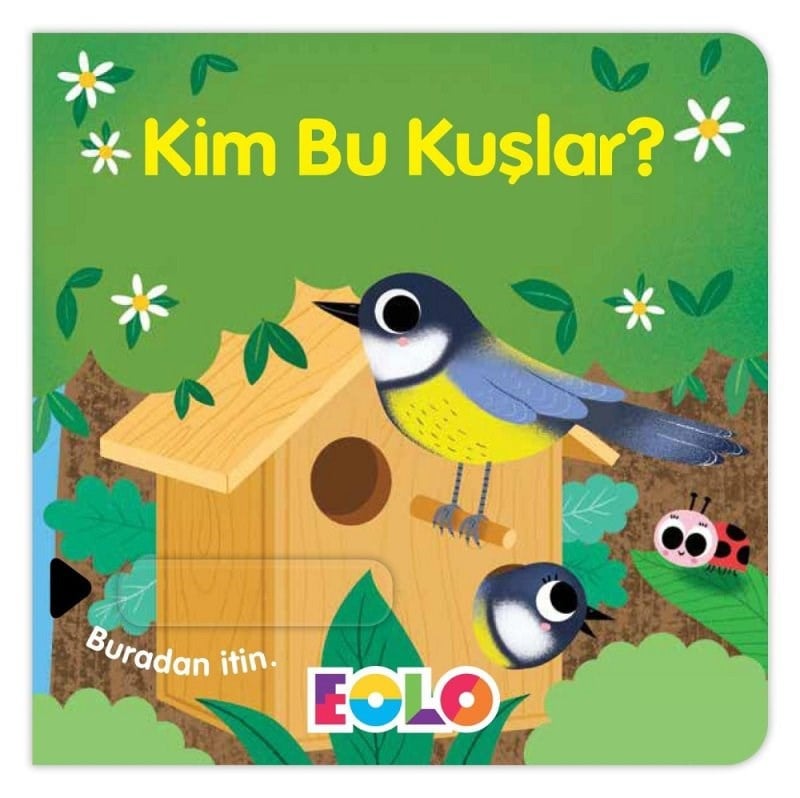 Eolo Kim Bu Kuşlar?