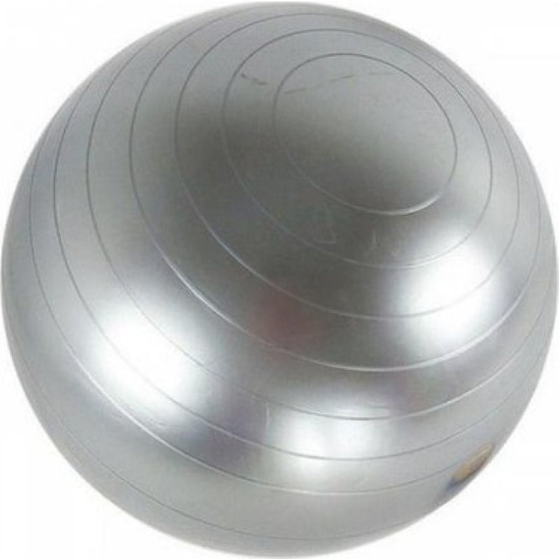 Pilates Topu 65 Cm Gümüş Ptg 567