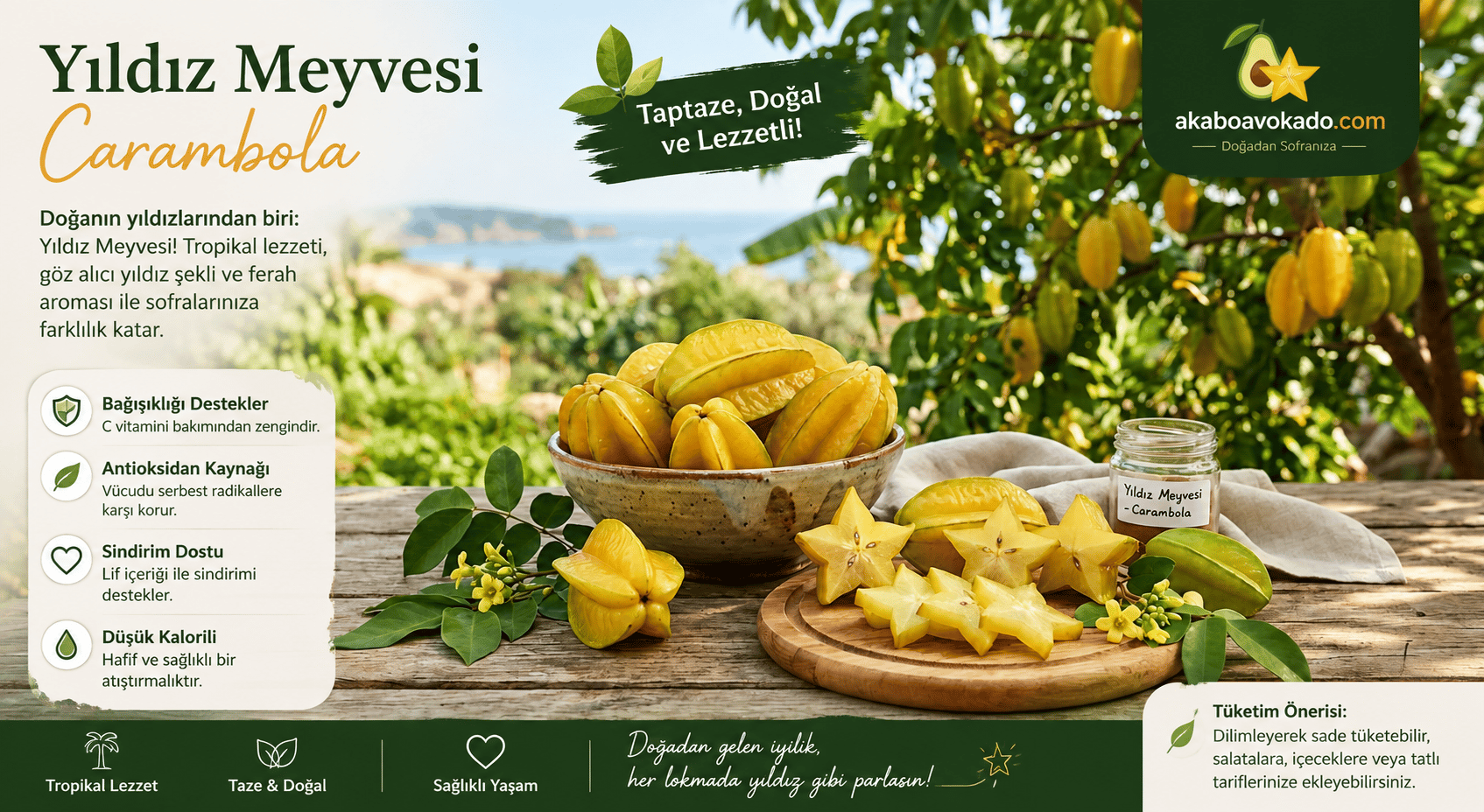 Yıldız Meyvesi