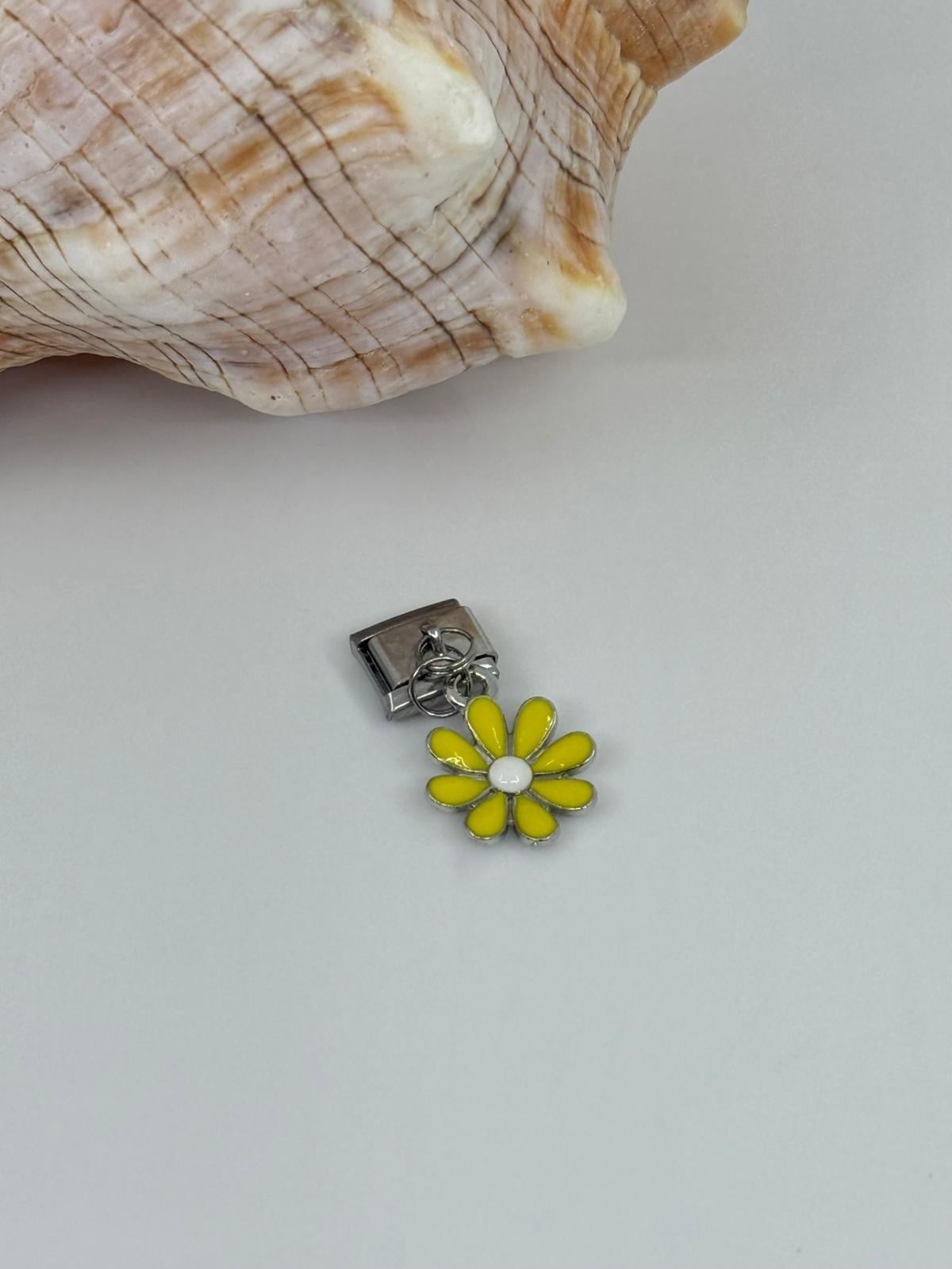 Nomi charm