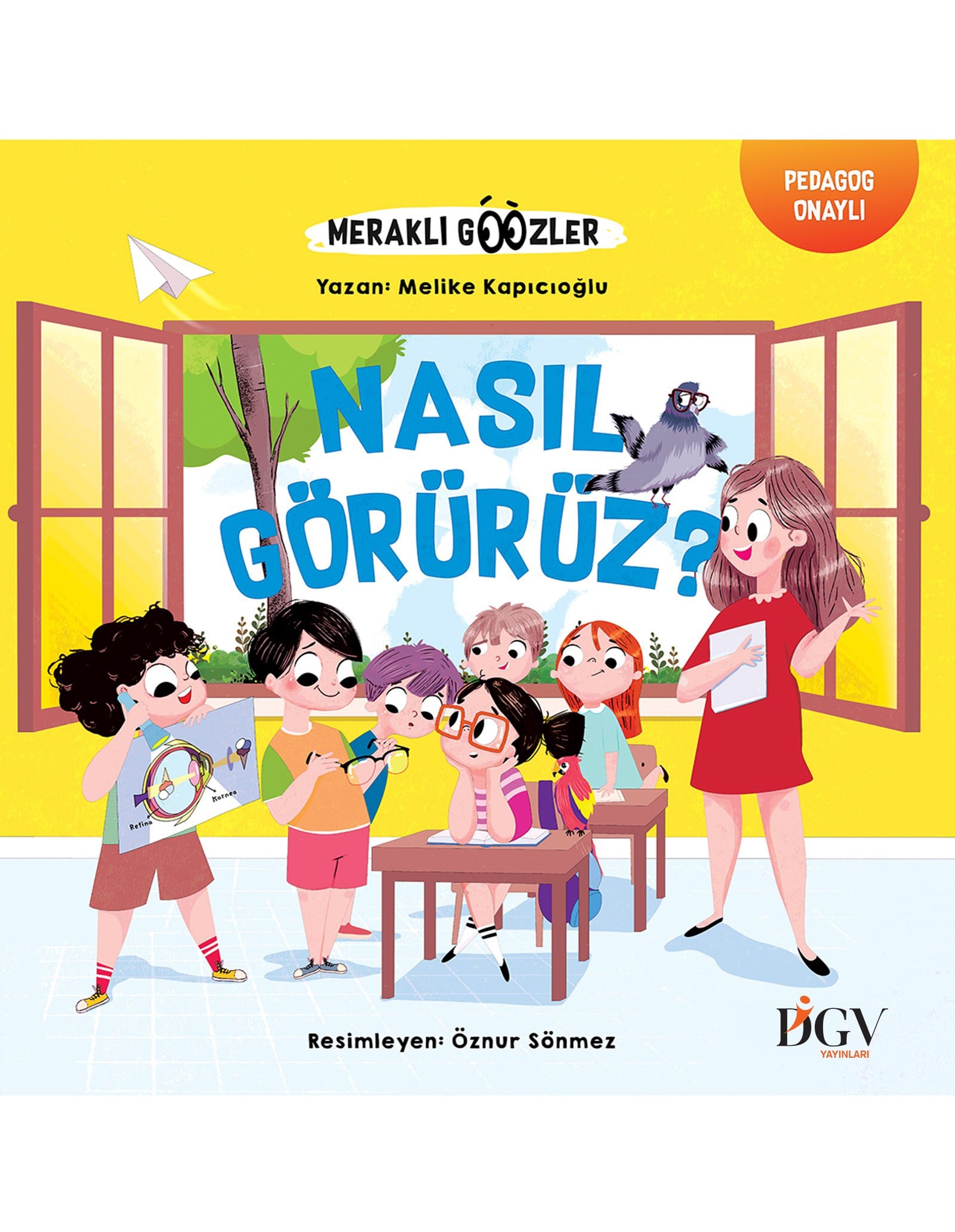 NASIL GÖRÜRÜZ?