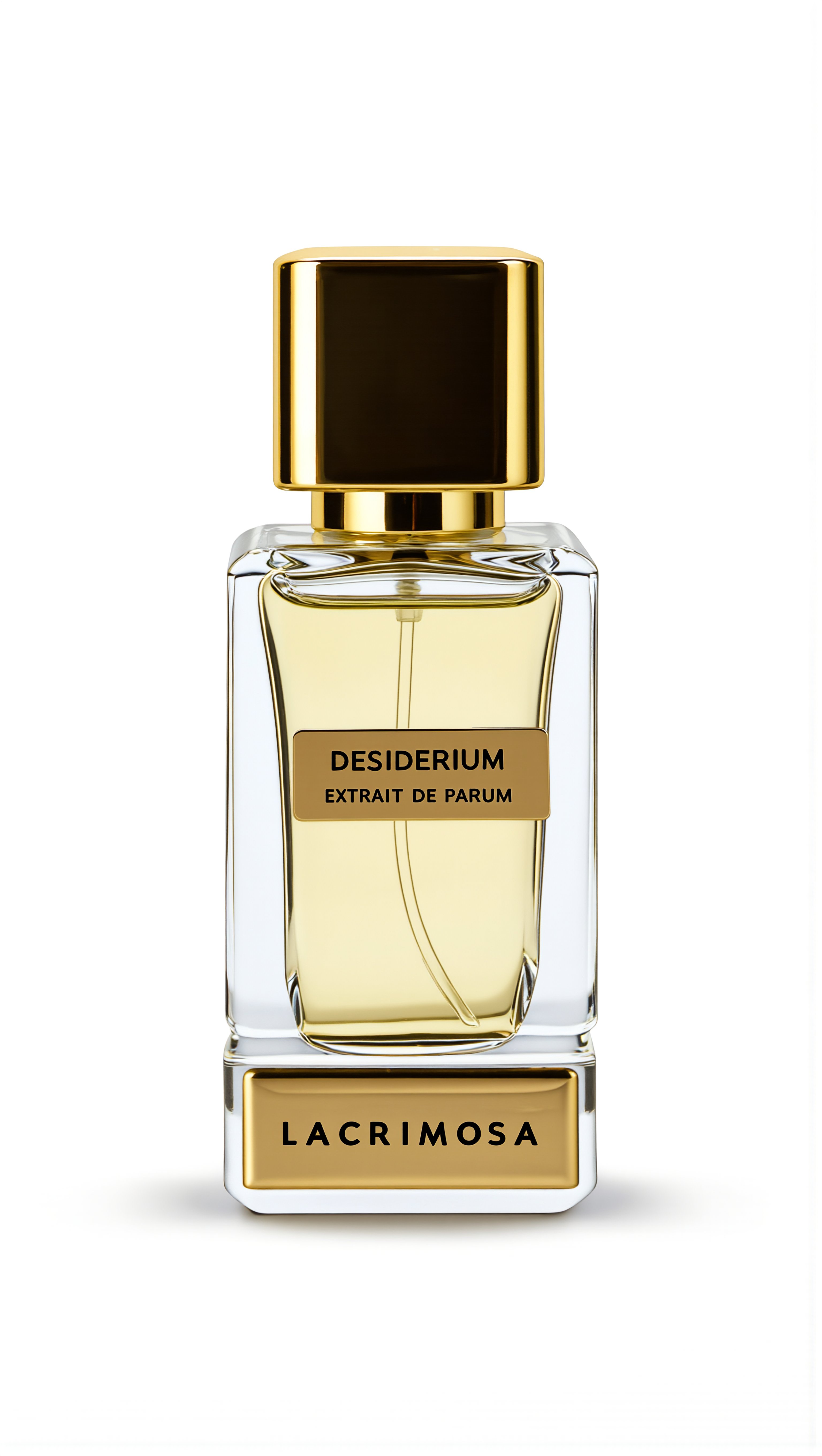 Desiderium 50 ml Erkek Parfüm Odunsu, Adaçayı, Amber, Sandal ağacı