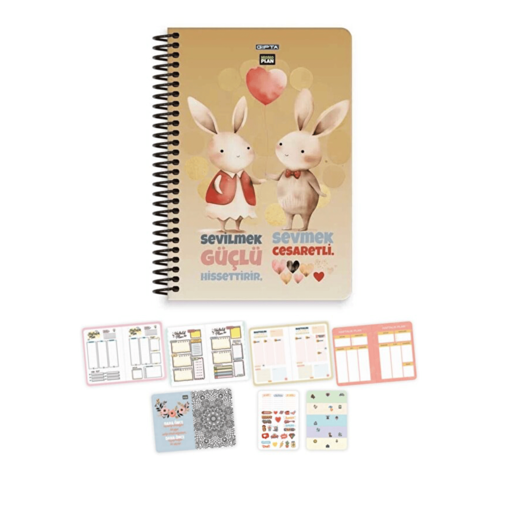 GIPTA MONO PLAN. SPİRALLİ SERT KAPAK DEFTER 17*24 96 YP PLANNER