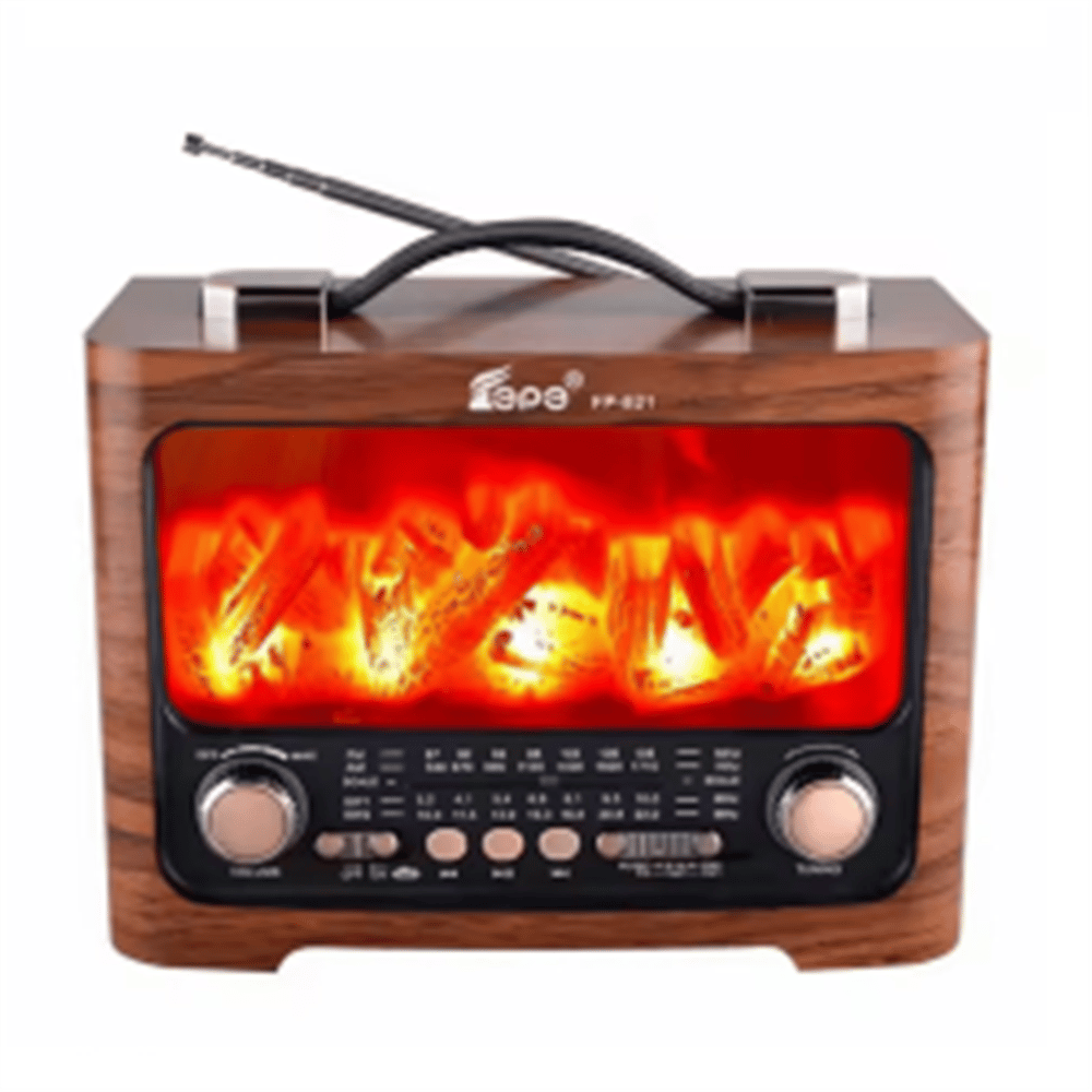 GLRTECH FEPE MUSIC PLAYER FM FP-821