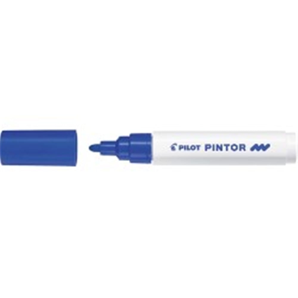 PILOT PİNTOR (M) - MAVİ