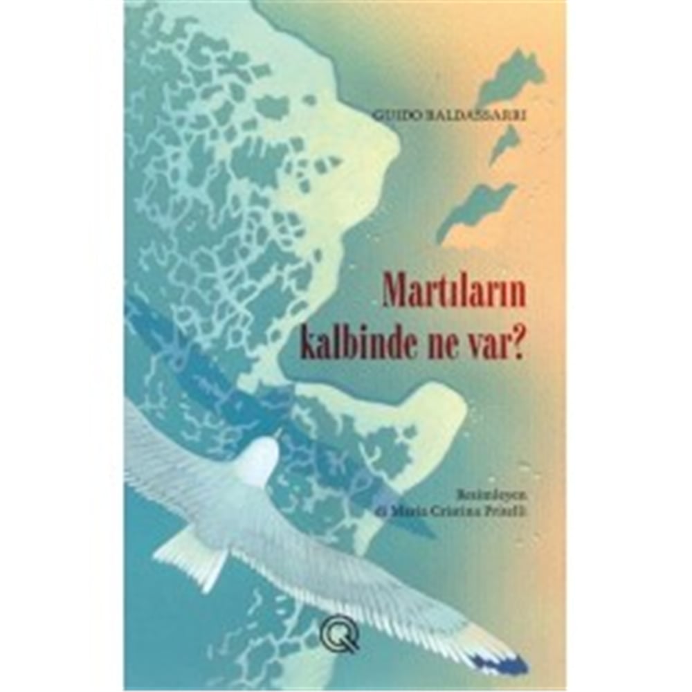 Q YAYINLARI MARTILARIN KALBİNDE NE VAR