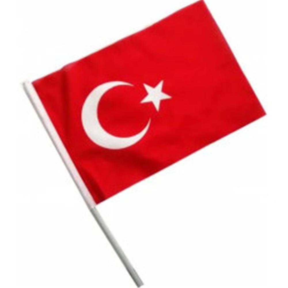 VATAN BATTAL BOY SOPALI TÜRK BAYRAĞI 40 LI