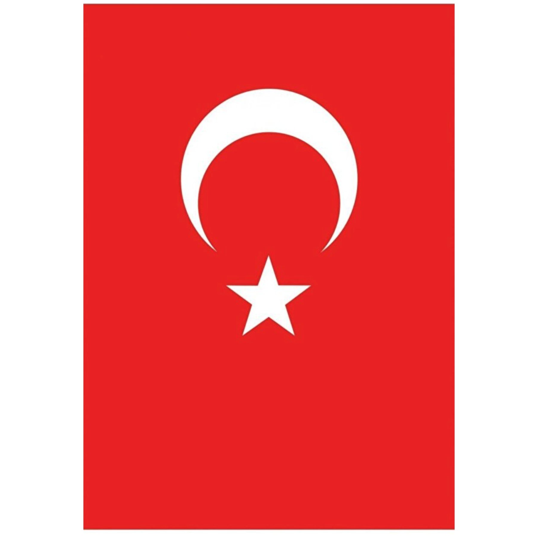VATAN POLYESTER BAYRAK 70*105
