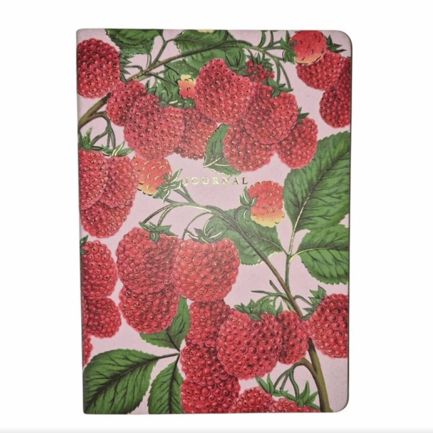 VJ SMYTH ART VEGAN DERİ DEFTER 100 GR 120 YP A5 DÜZ NOKTALI