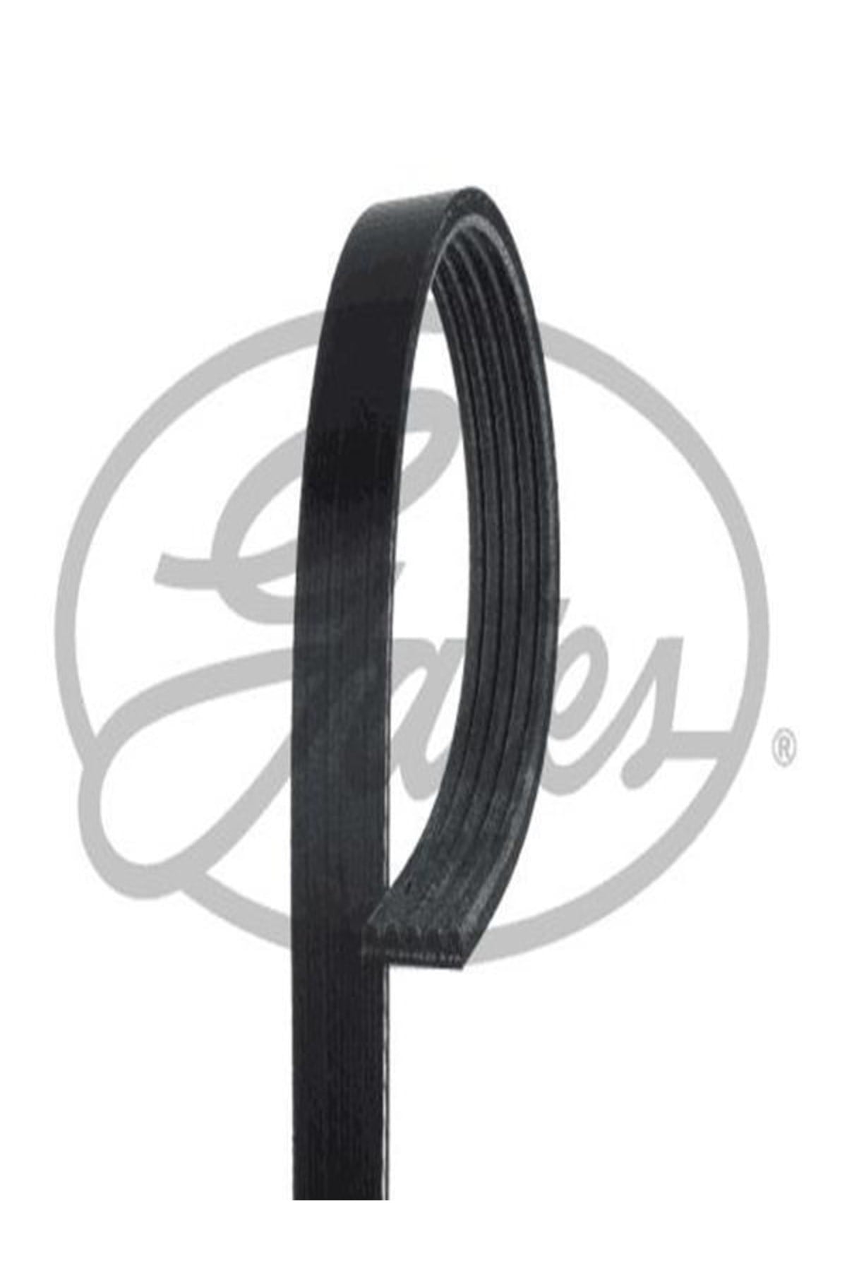 5pk1200 Kanalli Kayis 58381 ( Renault : Clio / Kangoo 1.5dci K9k Ac ) (WC892536)