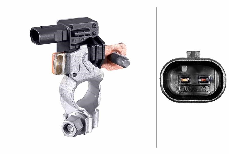 Akü Yönetimi Sensörü.General Motors Hella 6Pk012767171