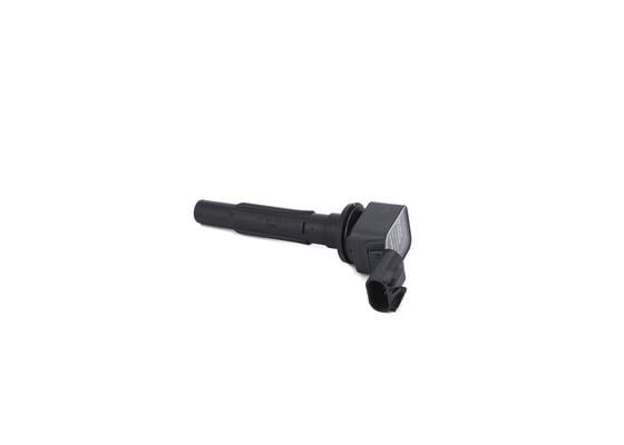Ateşleme Bobini Bosch F01r00a081