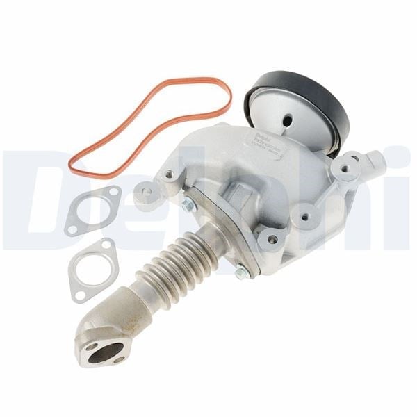 Egr Valfı Delphı Eg10619-12B1