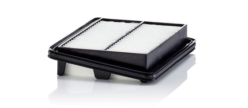 Filtre Mann C22060